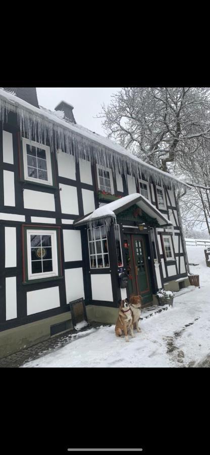 Hostal Berghof Schmitte Winterberg Exterior foto