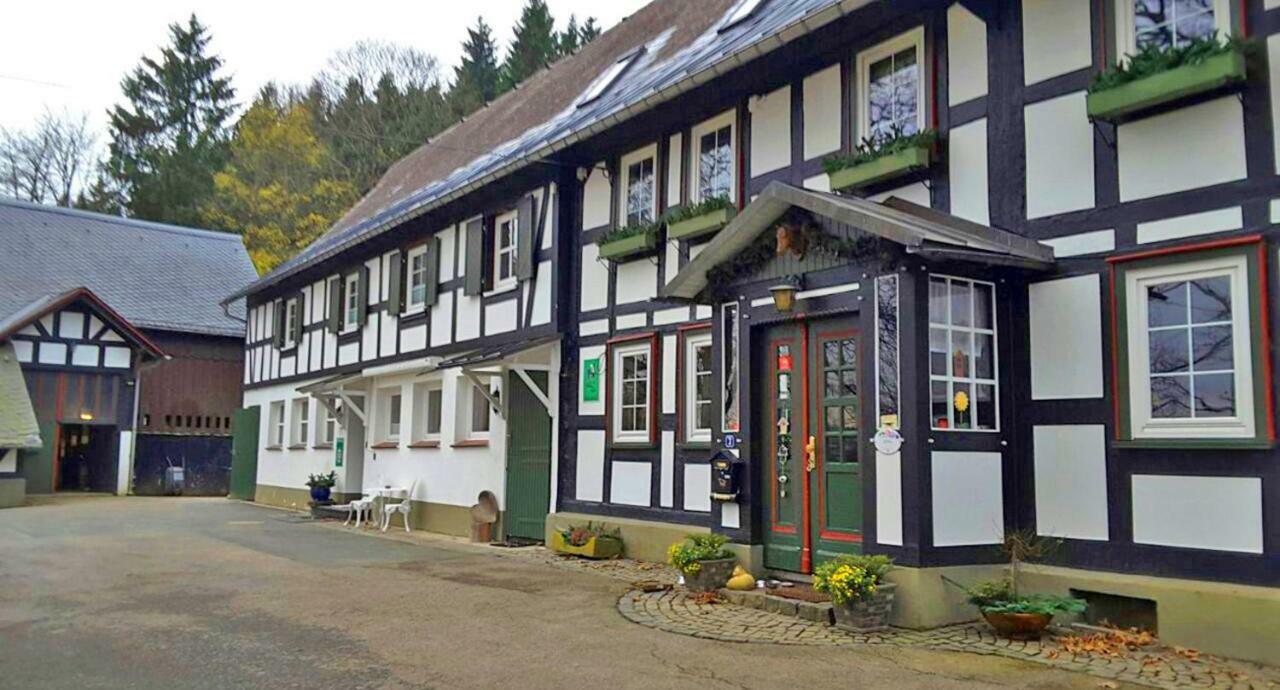 Hostal Berghof Schmitte Winterberg Exterior foto