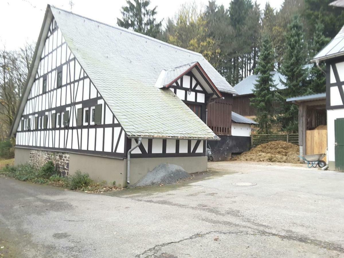 Hostal Berghof Schmitte Winterberg Exterior foto